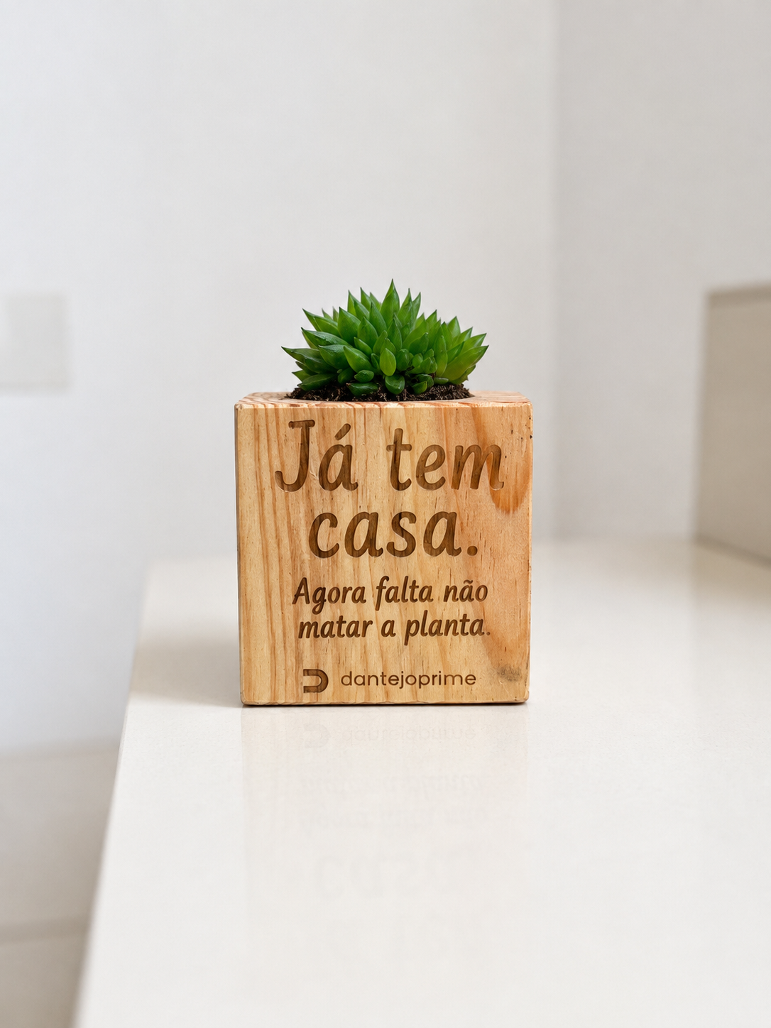 Vaso em madeira personalizado com gravação a laser e suculenta, ideal como presente original para casa nova, inauguração de casa ou decoração.